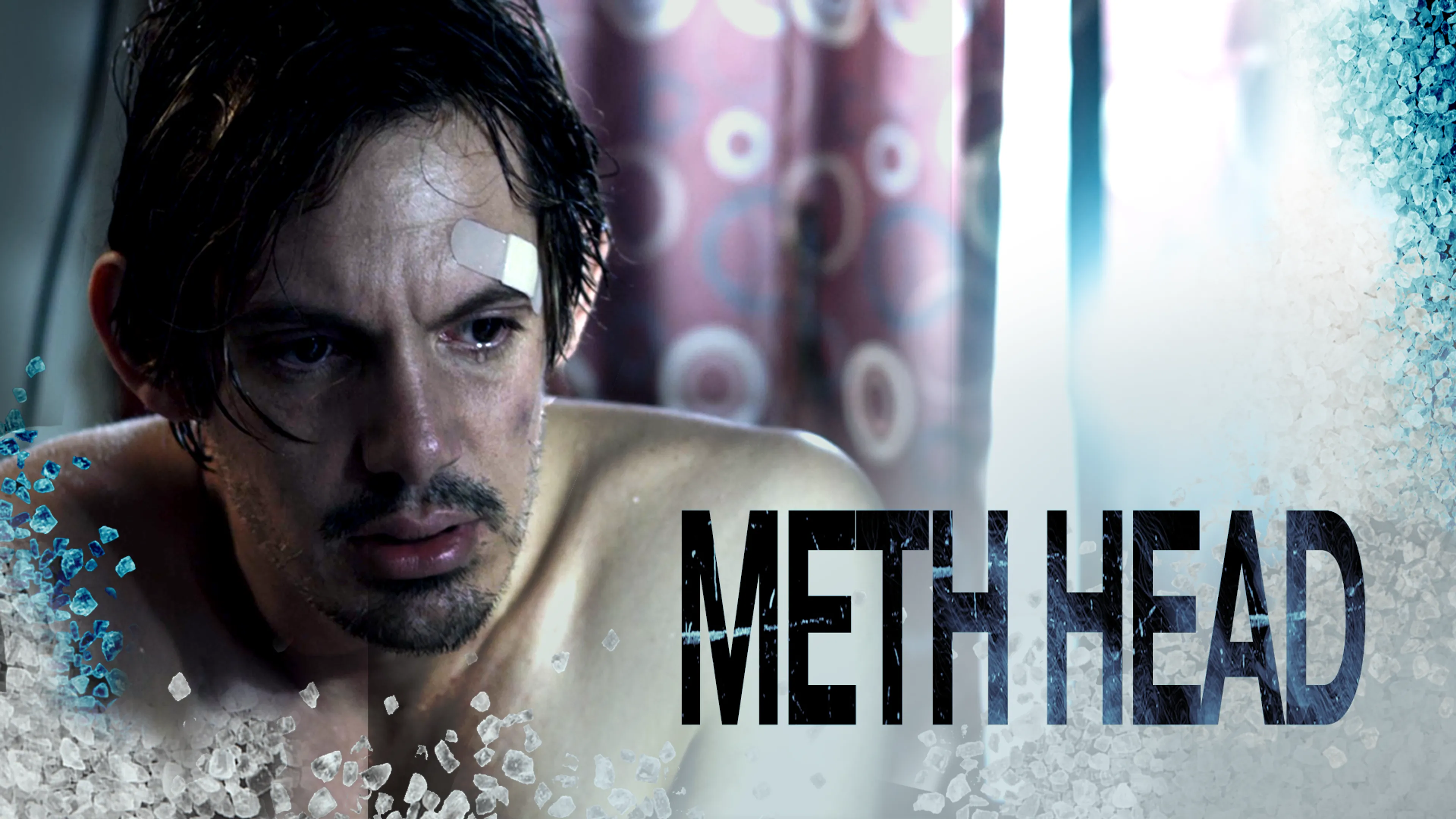 Meth Head poster